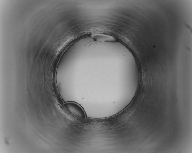 X0000100380530200806271336