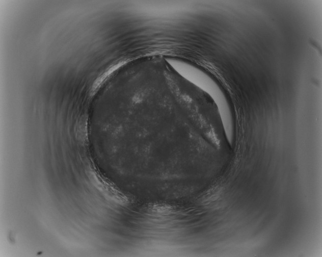 X0000100380531200806271336