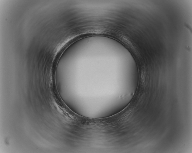 X0000100380532200806271336