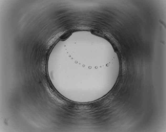 X0000100380533200806271336