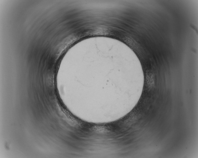 X0000100380534200806271336