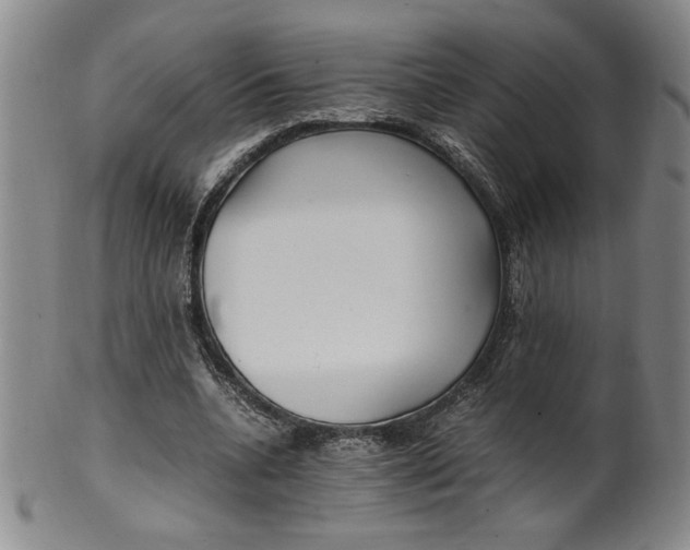 X0000100380536200806271336