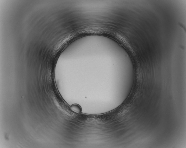 X0000100380538200806271336