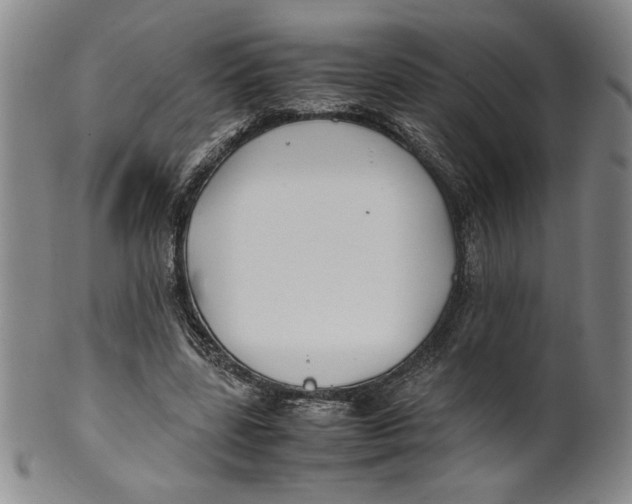 X0000100380539200806271337