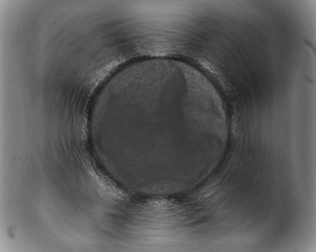 X0000100380540200806271337
