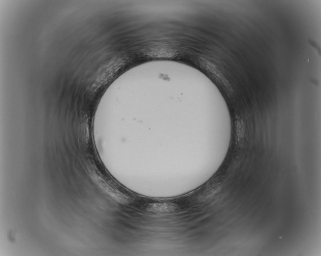 X0000100380541200806271337