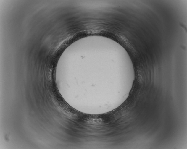 X0000100380543200806271337