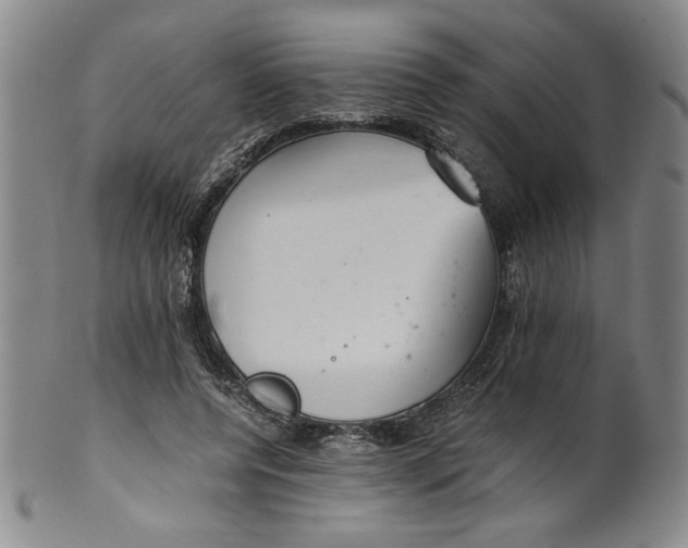 X0000100380544200806271337