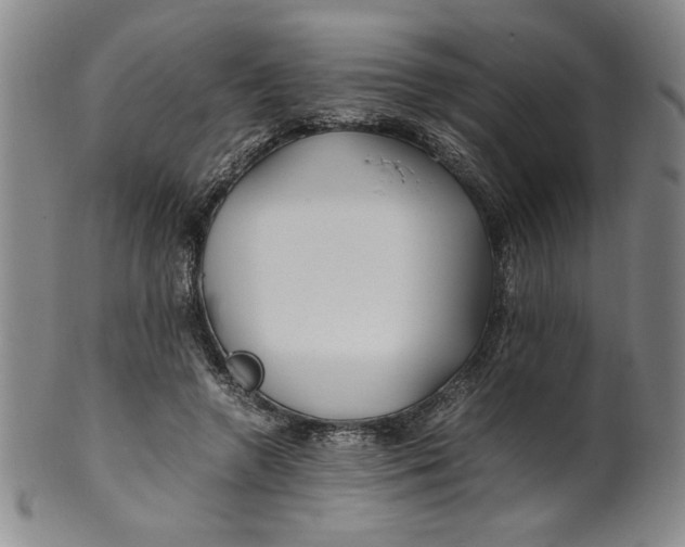 X0000100380546200806271337