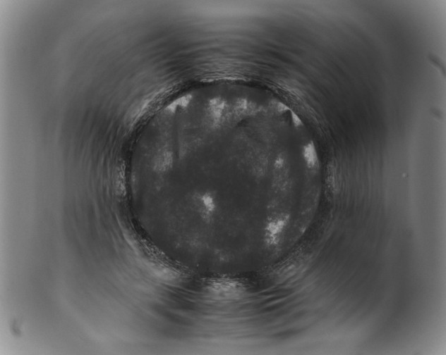 X0000100380547200806271337