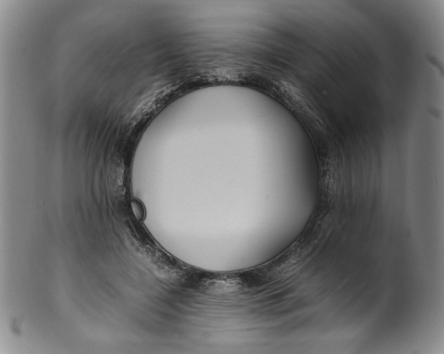 X0000100380548200806271337