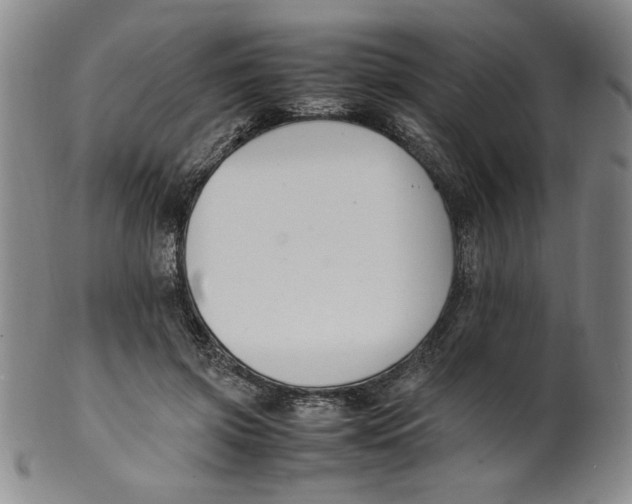 X0000100380549200806271337