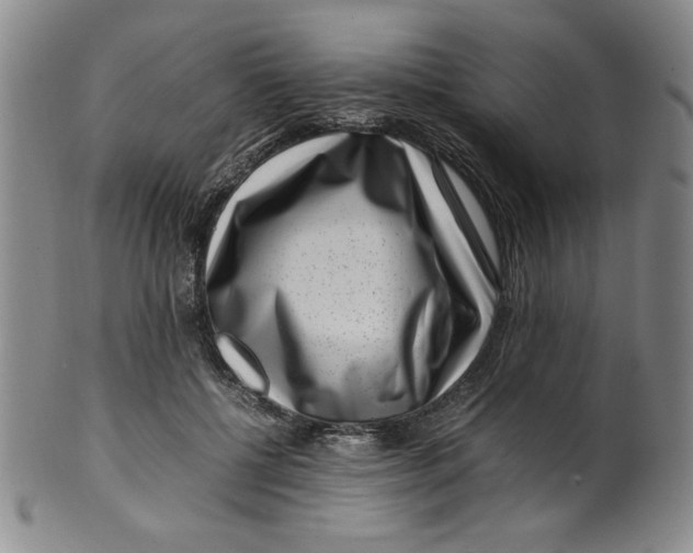 X0000100380552200806271337