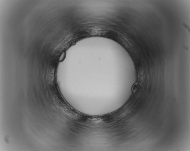 X0000100380554200806271337