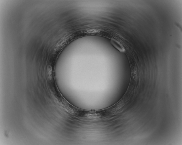 X0000100380556200806271337