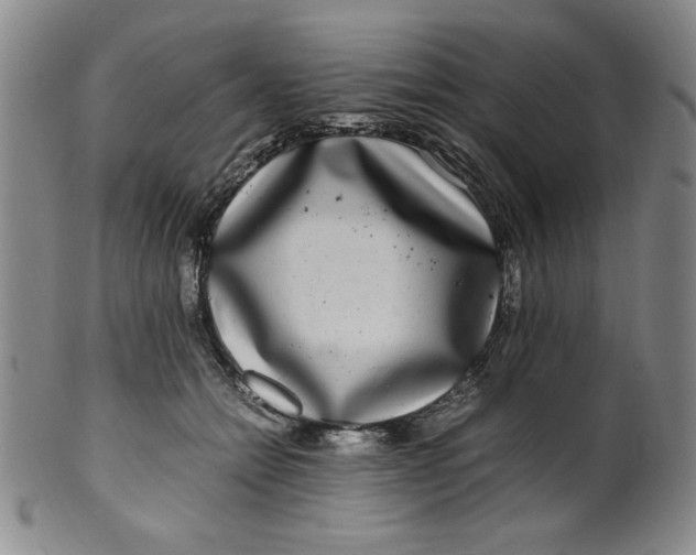 X0000100380558200806271337