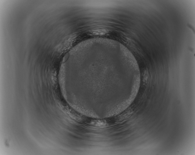 X0000100380559200806271337