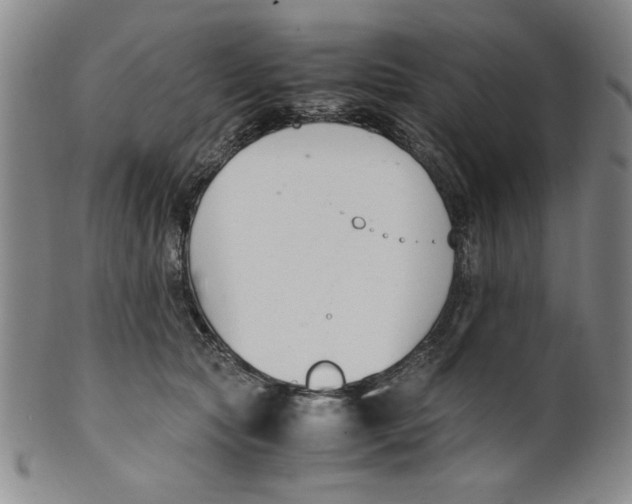 X0000100380561200806271337