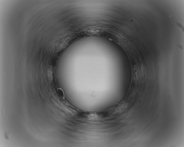 X0000100380562200806271337