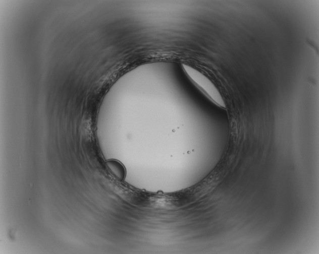 X0000100380564200806271337