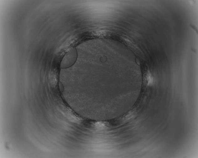 X0000100380566200806271337