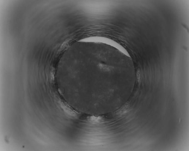 X0000100380570200806271337
