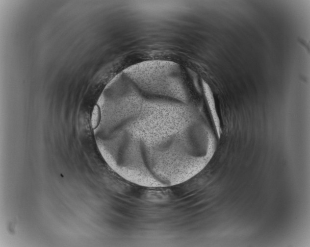 X0000100380571200806271337