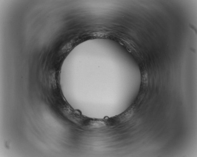 X0000100380572200806271337