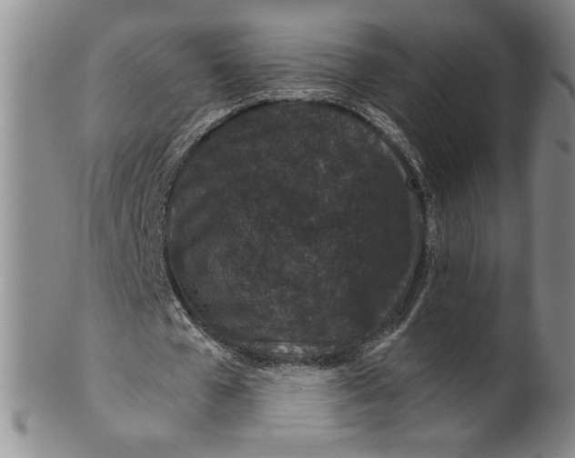 X0000100380577200806271336
