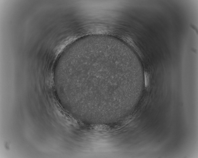 X0000100380579200806271336