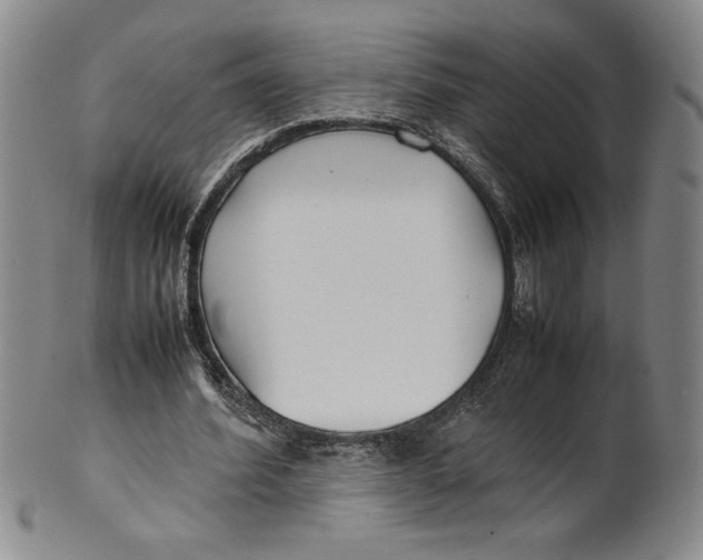 X0000100380580200806271336