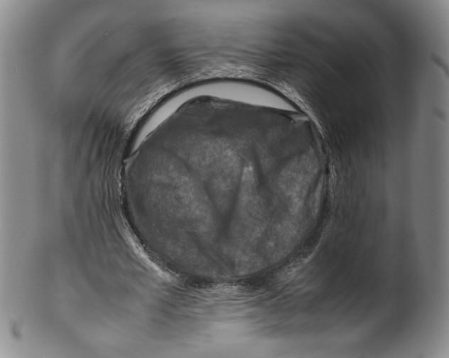 X0000100380581200806271336