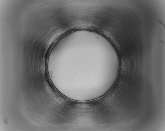 X0000100380582200806271336