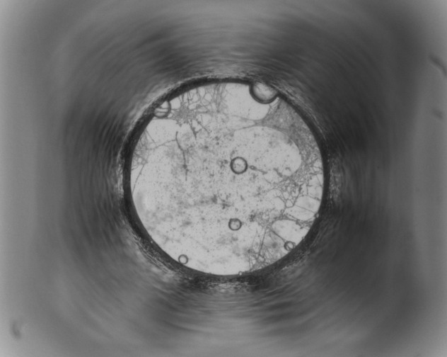 X0000100380584200806271336