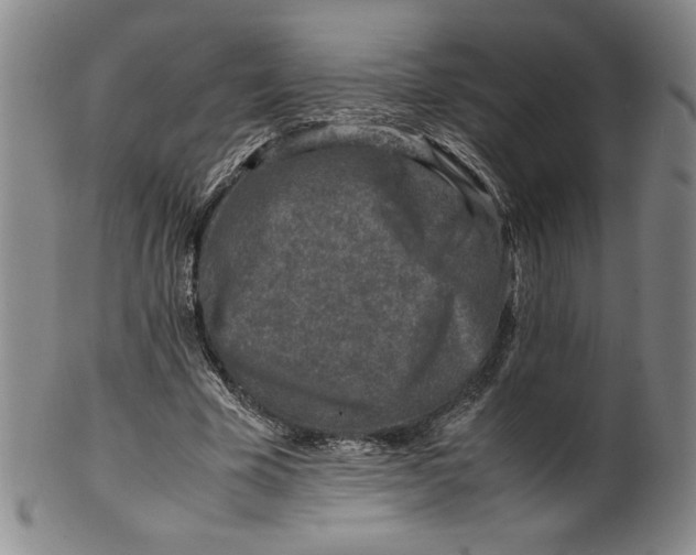 X0000100380585200806271336