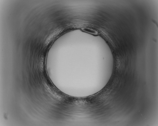 X0000100380586200806271336
