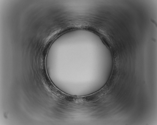 X0000100380587200806271336
