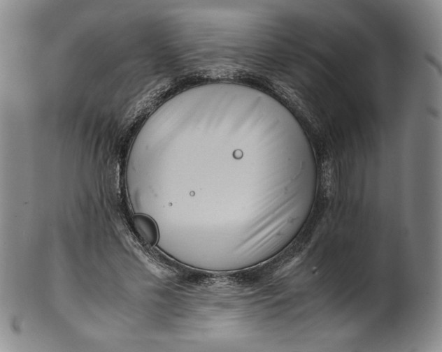 X0000100380589200806271336