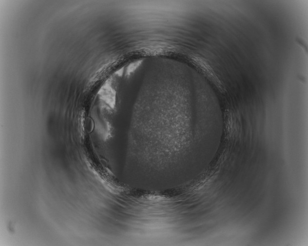 X0000100380590200806271336