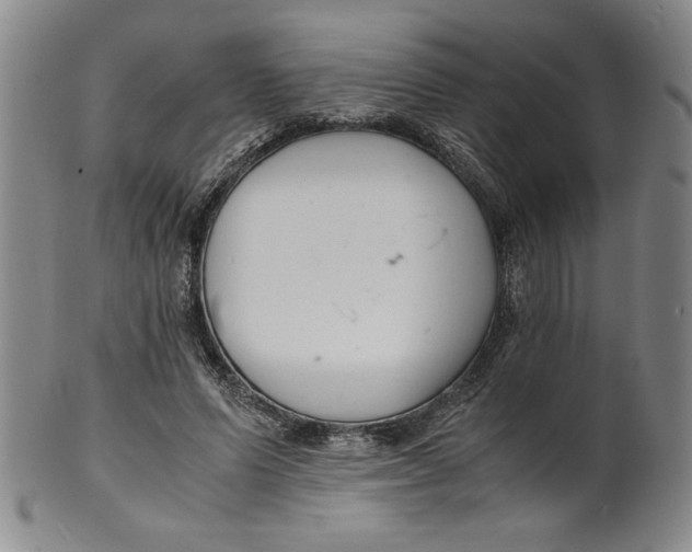 X0000100380591200806271336