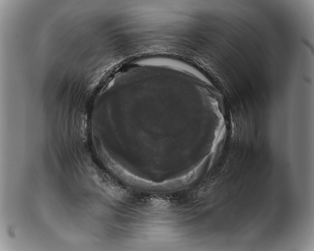 X0000100380592200806271336