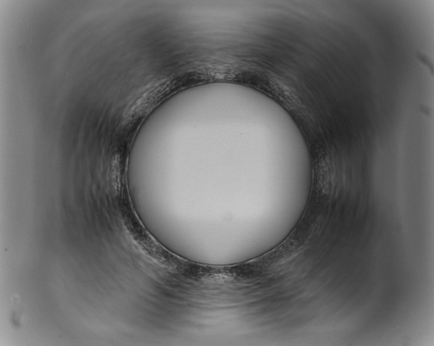 X0000100380594200806271336