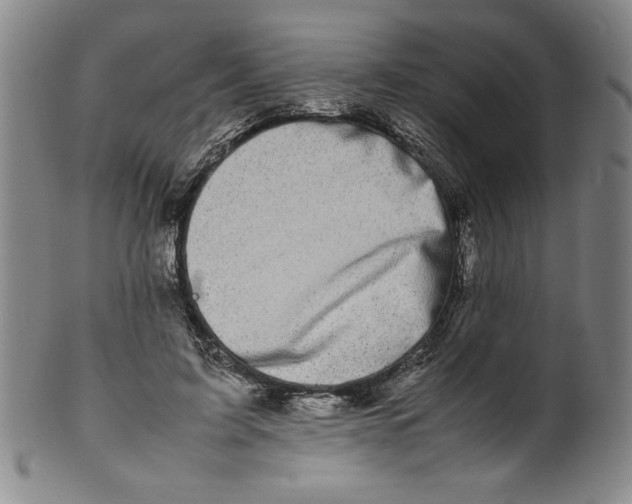 X0000100380595200806271336