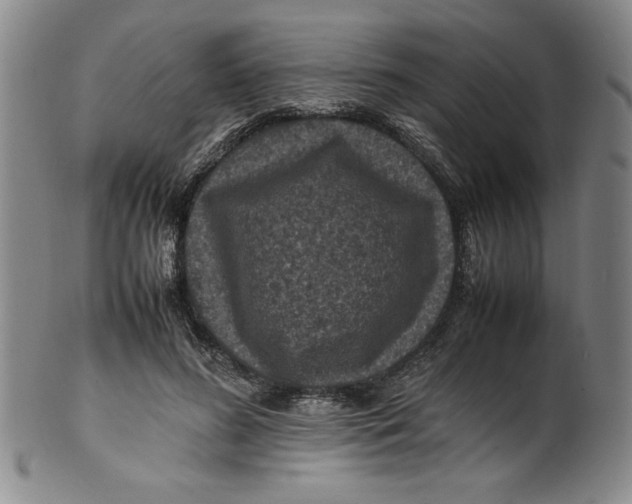 X0000100380596200806271336