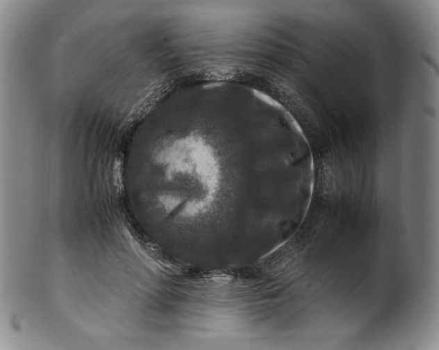 X0000100380598200806271336