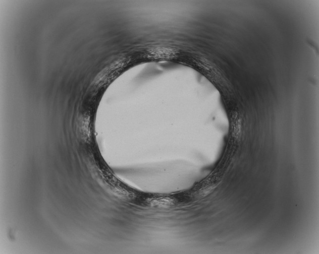 X0000100380599200806271336