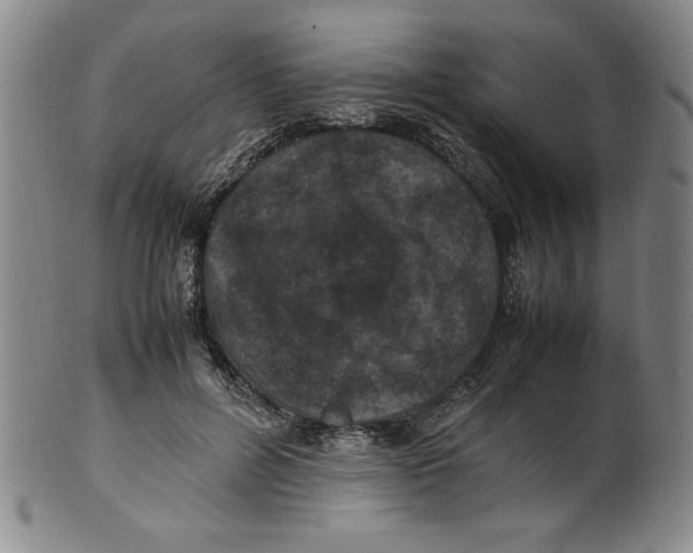 X0000100380600200806271336