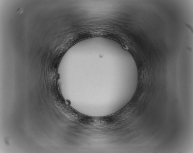 X0000100380601200806271336