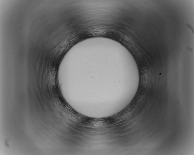 X0000100380604200806271336