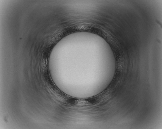X0000100380605200806271336